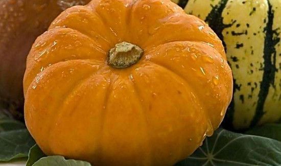 吃秋刀鱼的禁忌