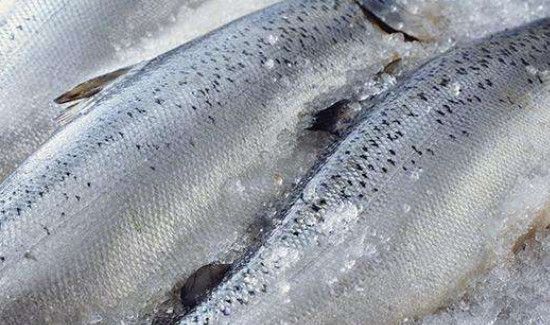 超市冰块上的鱼是新鲜的吗