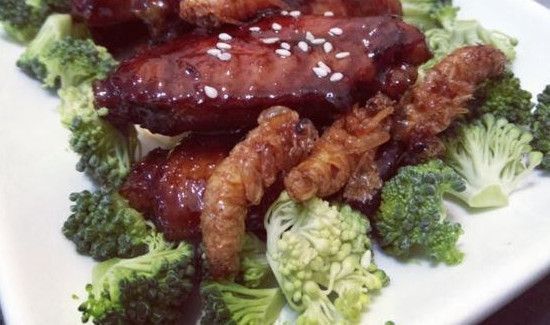 吃美洲大蠊禁忌