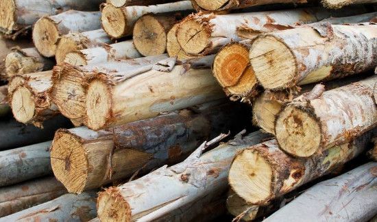 木头快速阴干方法