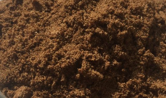 吃美洲大蠊禁忌