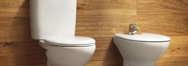 怎么判断马桶反味