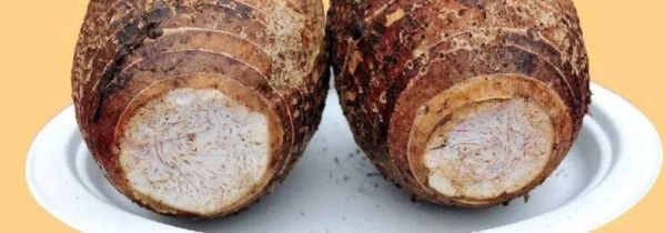 吃荔浦芋头的禁忌