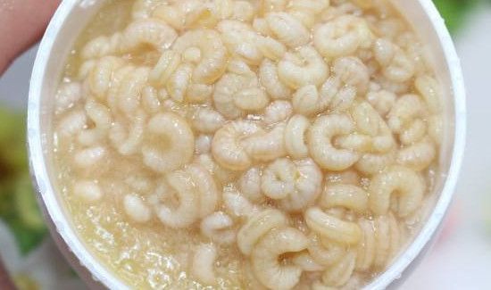 吃蜂王胎的忌讳