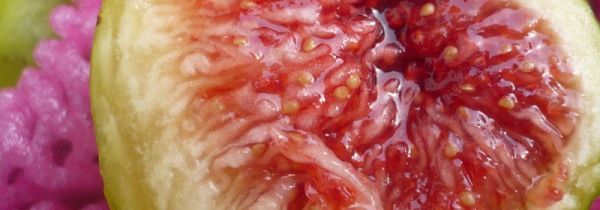 红皮无花果和绿皮无花果的区别