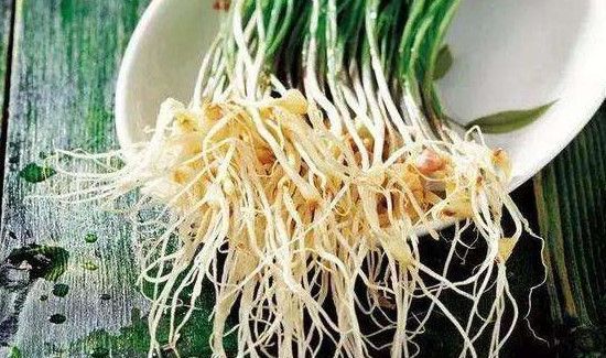 什么人不能吃野蒜