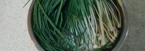 什么人不能吃野蒜