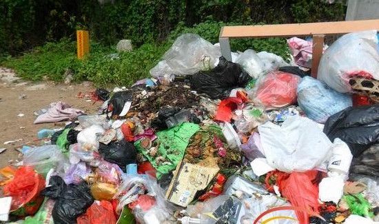 什么东西招苍蝇