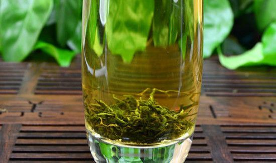 什么人不适合喝七叶胆