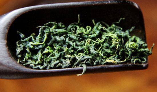 什么人不适合喝七叶胆