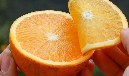 冰糖橙上火还是降火