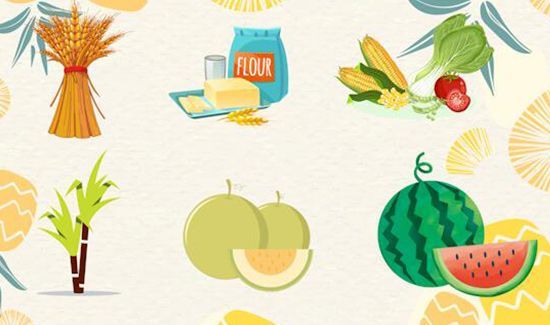 碳水化合物是什么