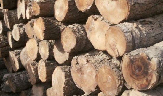 枣木怎么处理不裂