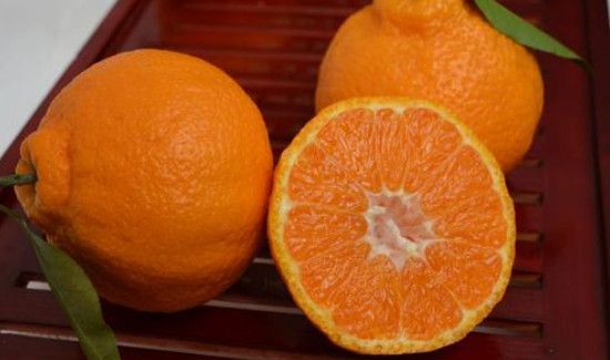 吃丑橘的坏处