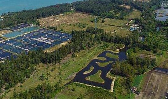 昌江黎族自治县属于哪个市