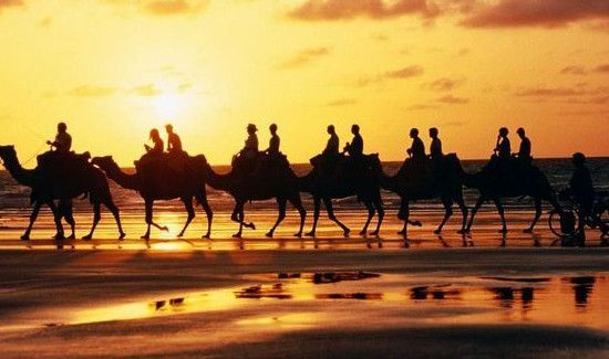 丝绸是什么材料