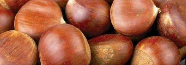 板栗和橘子能同时吃吗