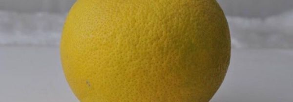 柚子和药能不能一起吃