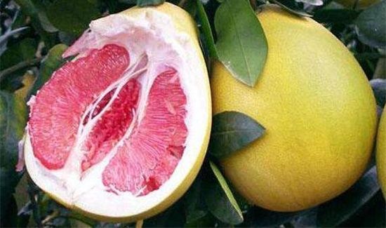 柚子吃多了有什么坏处