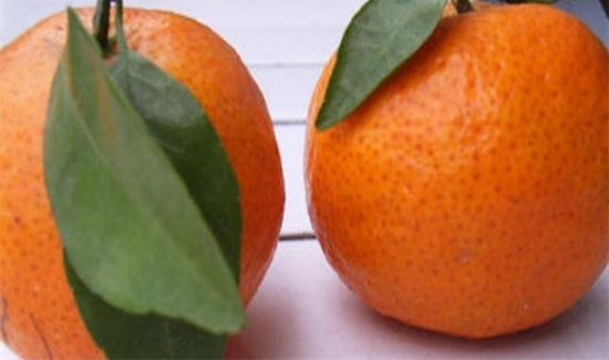柑子是上火还是去火