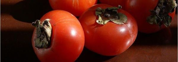 柿子可以和啤酒一起吃