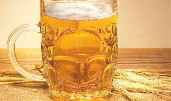 柿子可以和啤酒一起吃