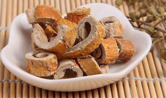 桑白皮禁忌