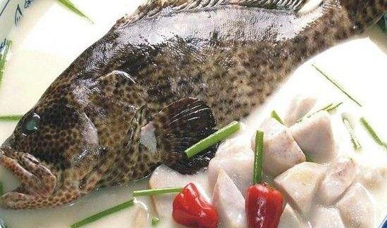 吃石斑鱼注意事项