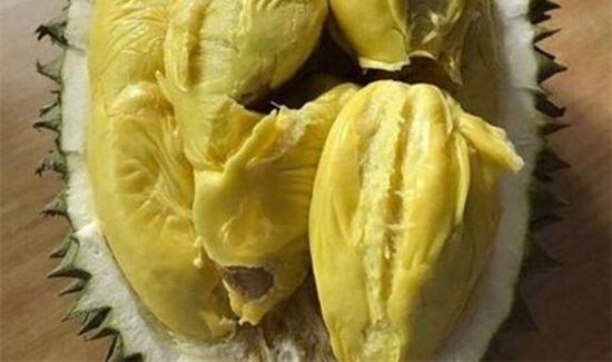 榴莲和羊肉可以一起吃吗