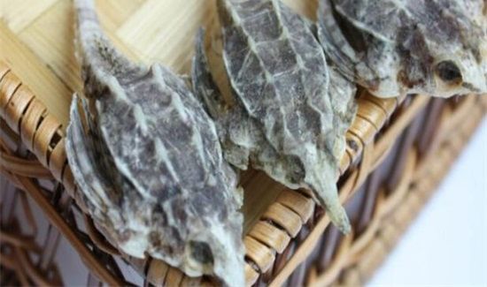 海麻雀的功效与作用及食用方法