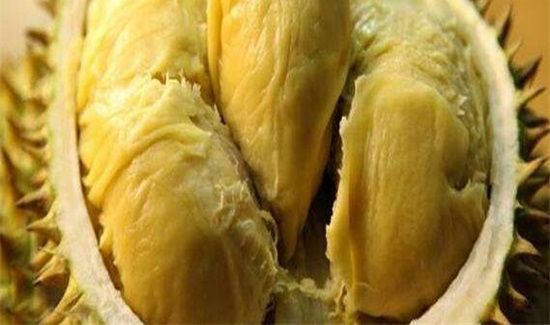 牛肉和榴莲能一起吃吗