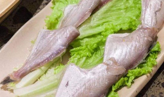耗儿鱼哪些人不能吃