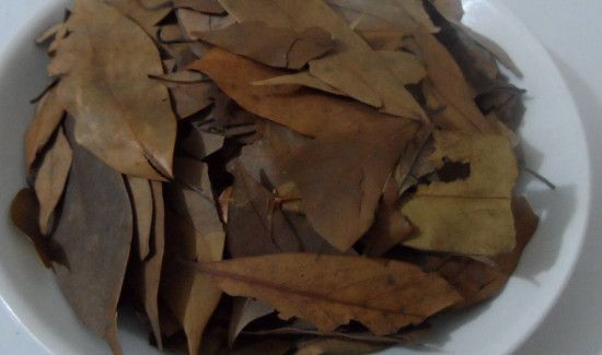 老荫茶的功效与作用