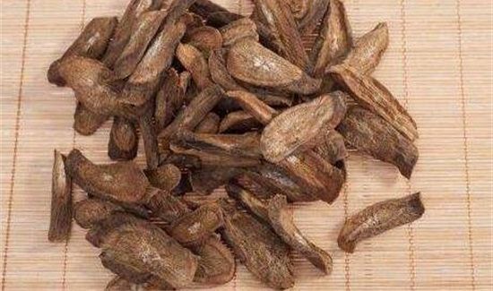 牛蒡根的功效与作用及食用方法