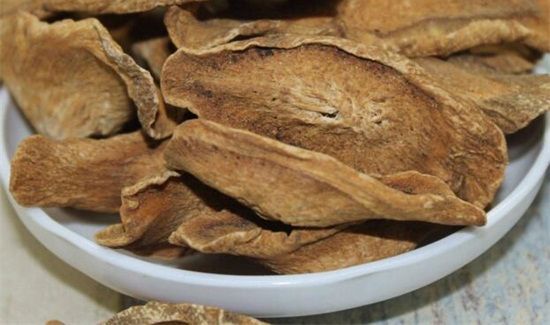 牛蒡根的功效与作用及食用方法