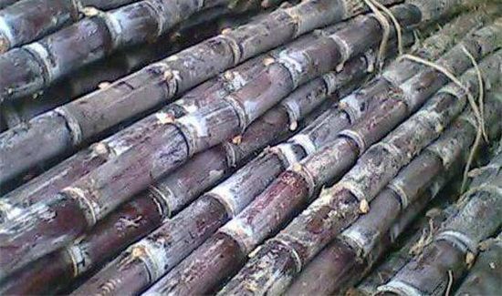 甘蔗怎么保存放的时间长