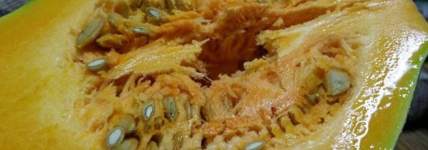 南瓜瓤能不能吃