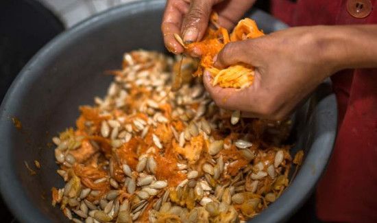 南瓜瓤能不能吃