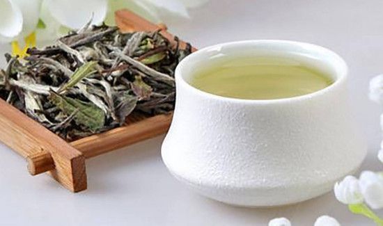 胃不好可以喝白茶吗