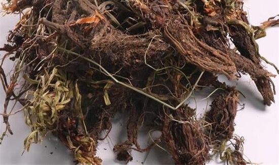 甘松在卤水中的作用