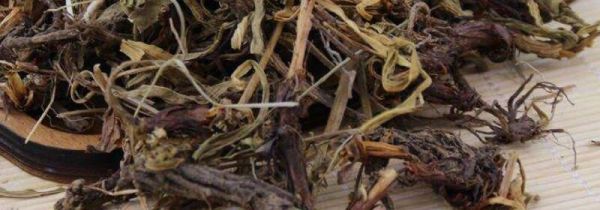 甘松在卤水中的作用