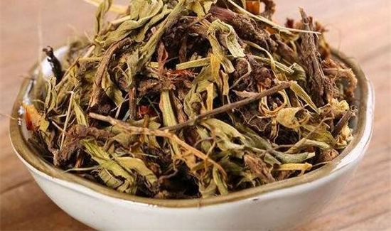 甘松在卤水中的作用