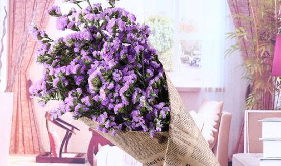 干花能随便送人吗