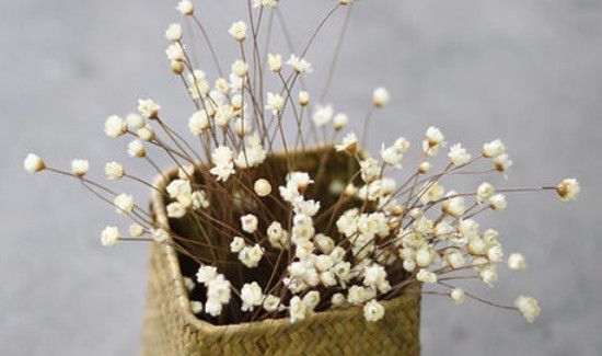 干花能随便送人吗