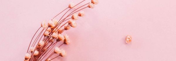 干花能随便送人吗