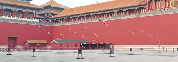 故宫是哪个朝代建的