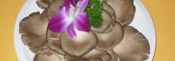 平菇和茄子能一起吃吗