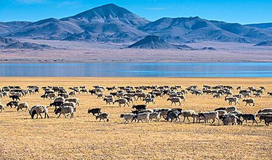 改则县海拔多少米