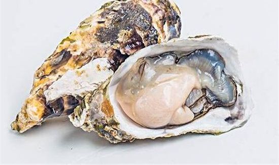 生蚝和柿子能一起吃吗