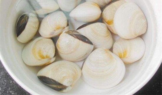 白贝是寒凉食物吗